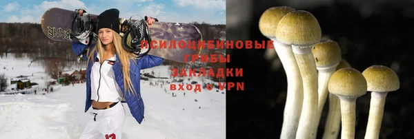 шишки Вязники