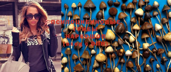 мдма Вяземский