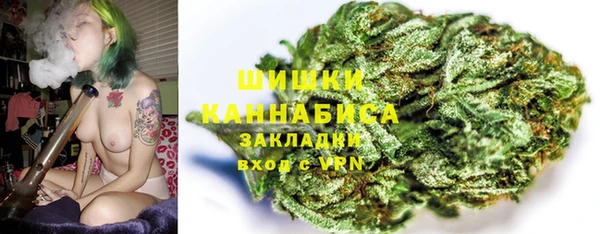 шишки Вязники