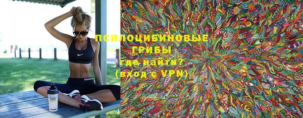 прущий лед Вязьма