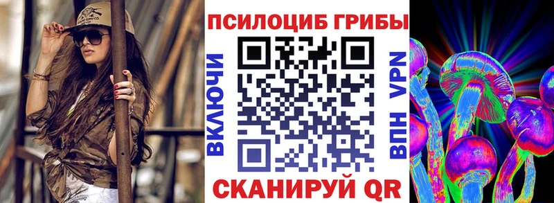 Псилоцибиновые грибы прущие грибы  цены наркотик  Мамоново 